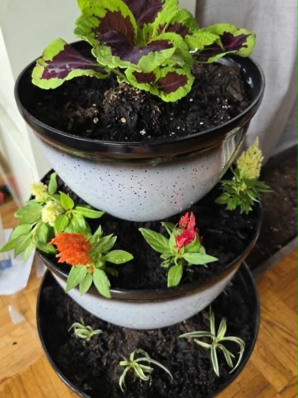 3 Stack Planter - Picture 2 of 2